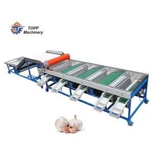 Garlic sort peeler sorter process peel machine garlic sorting and sifting machine garlic clove grade machine