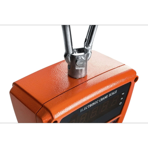 वाटरप्रूफ 300 किलोग्राम डिजिटल क्रेन वजन के साथ रोटेड हुक और शेकल - Product Image 4