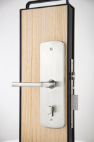 Serrure de porte électronique intelligente TCP/IP en acier inoxydable poli, système de contrôle d'accès avec clé carte RFID IC et installation facile