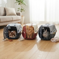 Nouvelle conception, petite taille, cage de transport pour animaux de compagnie en plastique, approuvée par les compagnies aériennes, boîte de transport pour chat et chien avec porte sécurisée verrouillable