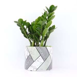 Plastic Pot Plant Small Plastic 7inch Plastic Round Flower Pot Plant Indoor Home Office Garden Balcony Succulent Desktop Small Flower Pot