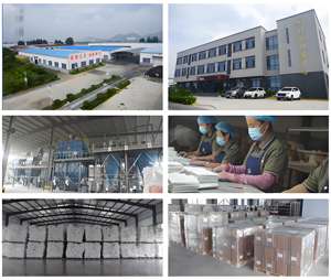 Poudre <span class=keywords><strong>de</strong></span> gypse GRG Plâtre <span class=keywords><strong>de</strong></span> <span class=keywords><strong>Paris</strong></span> <span class=keywords><strong>de</strong></span> haute qualité pour corniches <span class=keywords><strong>de</strong></span> plafond modernes et sculptures Blancheur 90 Sac <span class=keywords><strong>de</strong></span> 25 kg - Product Image 6