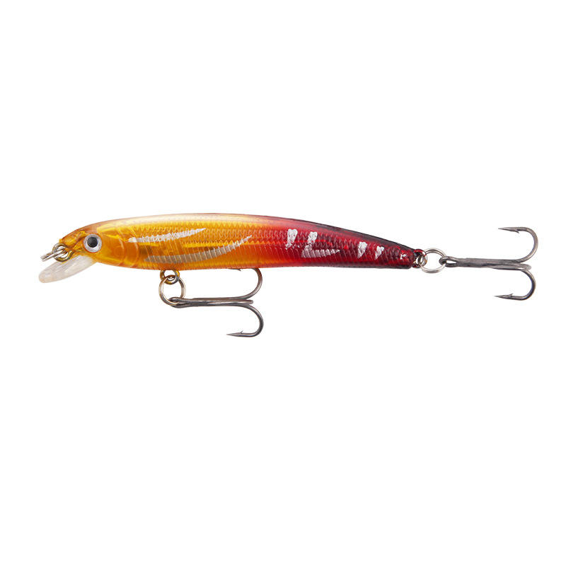 หลังสีดำและตัวสีน้ำเงิน