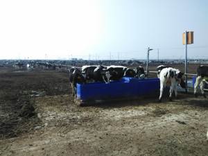 Función <span class=keywords><strong>de</strong></span> Control por aplicación <span class=keywords><strong>de</strong></span> canal <span class=keywords><strong>de</strong></span> agua, disipador <span class=keywords><strong>de</strong></span> agua automático, preservación del calor, <span class=keywords><strong>precio</strong></span> <span class=keywords><strong>de</strong></span> fábrica, uso <span class=keywords><strong>de</strong></span> larga vida útil - Product Image 5