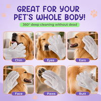Lingettes-gants sans rinçage parfumées à la noix de coco pour animaux de compagnie, 20 pièces/sac, gants jetables pour le nettoyage quotidien des chiens et des chats et l'élimination des odeurs