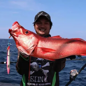 Bassmaster जापान फ़ूजी भागों उच्च कार्बन धीमी jigging मछली पकड़ने वाली छड़ी समुंदर मछली पकड़ने कास्टिंग कताई रॉड