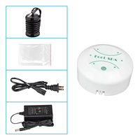 Machine de désintoxication ionique professionnelle de qualité supérieure pour les pieds, système de spa de bain de pieds ionique, massage de désintoxication des pieds