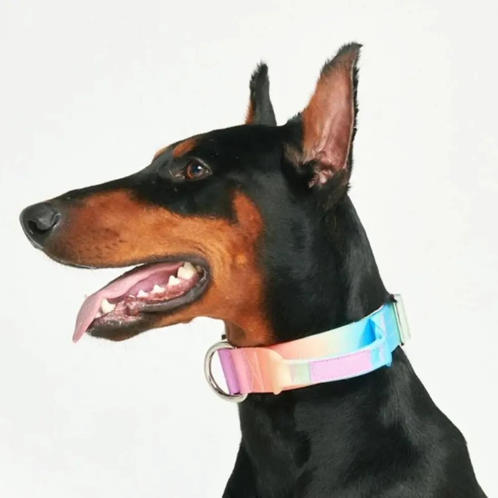 In-Stock Gradient Color Large Tactical Dog Collar 2 Inches Anti-Strain Wide Dog Training Collar Heavy Duty Dog Collar