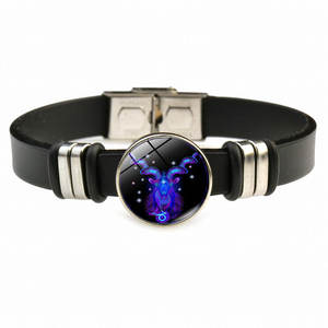 12 zodyak bilezikler silikon kauçuk saat düğüm Charm bilezik ZU026 - Product Image 4