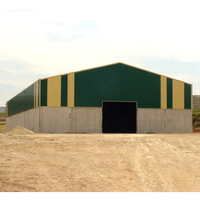 Almacén Prefabricado de Instalación Rápida, Galpón con Estructura Metálica, Hangar con Estructura de Acero en Forma de I en Venta