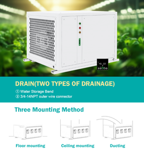 500ppd deumidificatore thương mại nhà kính phát triển phòng Máy hút ẩm phát triển Lều dehumidifeir cho nông nghiệp nhà kính - Product Image 4