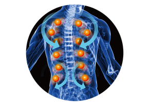 <span class=keywords><strong>Xiamen</strong></span> fábrica custom2020 eléctrico masajeador de espalda amasado de 3D Shiatsu calor cojín de masaje - Product Image 4