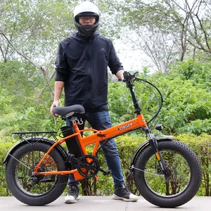 Disiyuan e-bike FF2 20 inch mountain snow fat tire 350W electric bike 48V lithium with back seat aluminum folding bicycle