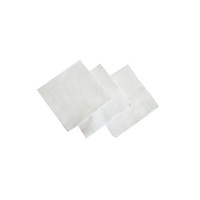Tissu géotextile en polyester non tissé écologique 200 g/m² 300 g/m² à haute perméabilité à l'eau pour le drainage routier et la filtration des sols