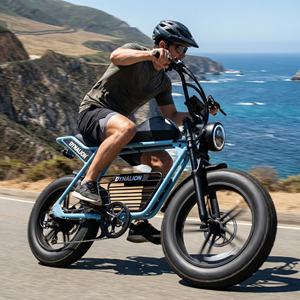 Bicicleta Eléctrica Retro Scrambler con Batería de 48V 16Ah, Bicicleta Eléctrica de Alta Velocidad con Llantas Anchas para Paseos por la Costa - Product Image 1