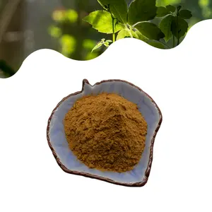 Chất Lượng Cao Gynostemma Chiết Xuất/Gypenoside 80% 98%/Gynostemma Pentaphyllum P.E 98% Bột