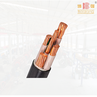 Câble d'alimentation basse tension à âme en cuivre Boqiang, série YJV22/32, 0,6/1 kV, isolé en XLPE, gaine en PVC, résistant au feu