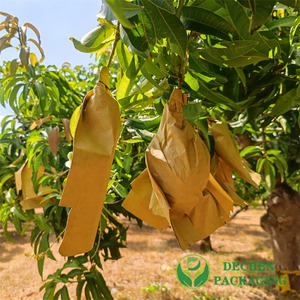 Bolsas protectoras <span class=keywords><strong>de</strong></span> <span class=keywords><strong>Granada</strong></span> para embolsado <span class=keywords><strong>de</strong></span> frutas y mango - Product Image 2