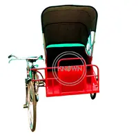 Tricycle électrique personnalisé, OEM, 3 roues, pour transporter les clients, commerce, vélo Cargo Unique, pour Europe