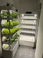 Systèmes de culture hydroponique pour la maison, le jardin et la ferme, jardinière d'intérieur, plante intelligente pour la maison, jardinière intelligente