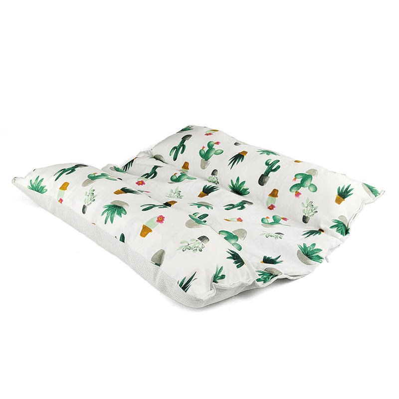 สไตล์แคคตัส