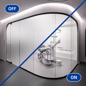 Grand succès — <span class=keywords><strong>film</strong></span> intelligent <span class=keywords><strong>de</strong></span> confidentialité pour fenêtre d'inspection, professionnel - Product Image 6