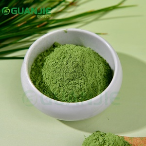 Натуральный порошок травы ячменя, пищевой, порошок сока травы ячменя, оптовая поставка - Product Image 1