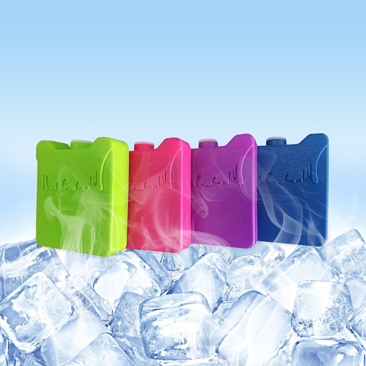 Factory Direct Custom Reusable Hard Plastic Freeze Ice Box Bricks Cool Pack For Shipping Perishables Lunch Bags