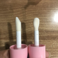 Gloss à lèvres transparent brillant et mat avec différentes nuances, livré avec des autocollants de nom de couleur et des boîtes en carton standard, rouge à lèvres liquide