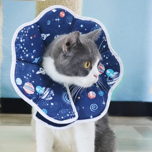 <span class=keywords><strong>Collar</strong></span> de gato plegable, - Product Image 1