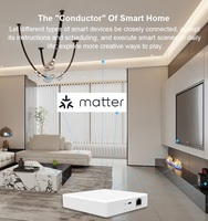 Matter Bridge compatible con Apple Homekit Smart Home Hub para dispositivos de protocolo Matter integrados con Thread Wifi Router Gateway