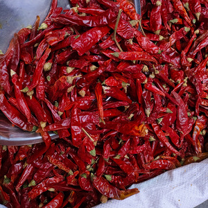 Chile Rojo Largo Seco Natural Sin Azufre, <span class=keywords><strong>Pimiento</strong></span> Picante Entero para Salsas, Encurtidos, Adobos y Fábrica de Snacks - Product Image 2