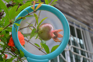 Kaca pembesar mainan plastik kaca pembesar genggam pengamat serangga gunung alam luar ruangan untuk pendidikan anak - Product Image 5