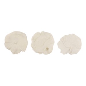 Arte Murale in Resina a Forma di Conchiglia, Sculture Organiche Incorniciate per Decorazione Casa - Product Image 2