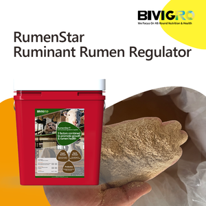 Regulador Rumenstar Contém Extrato de Ervas Microencapsulado, Extrato de Levedura e Probióticos para Promover o Crescimento de Gado Ruminante e Ovelhas - Product Image 6