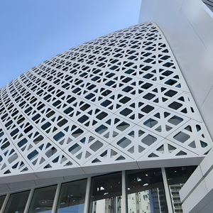 Panel de Revestimiento de Fachada de Aluminio Anodizado Moderno con Recortes Geométricos para Aplicaciones Exteriores en Edificios - Product Image 1