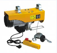 Sortie d'usine, palan électrique de petite taille bleu/rouge/orange/toute couleur, Pa200--Pa1000, pour levage de construction
