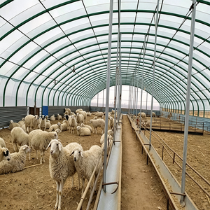 Venta a Bajo Costo: Establos de Acero para Caballos, Estructuras de Acero de Gran Envergadura, Edificios Prefabricados para Ganadería, Corrales para Ganado y Cerdos - Product Image 2