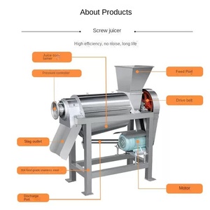 Thương mại Cà Chua Máy xay Báo Chí lạnh Máy ép trái cây rau trái cây khác Máy ép trái cây xoài nghiền làm nước trái cây Máy chế biến - Product Image 4