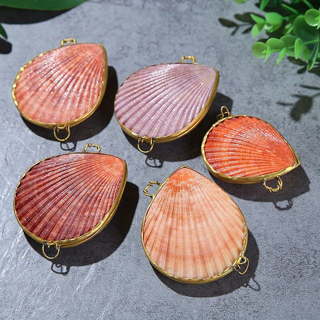 Gold Plated Shell Conch New Design Women Jewelry Box  Nature Seashell