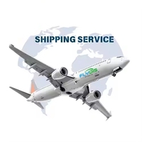 Almacén gratuito Agente de transporte de carga DDP UPS DHL Express Air Sea Agente de envío de carga China a Omán España Sudáfrica Arabia Saudita