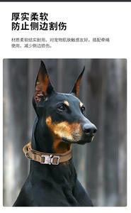 Collar de Perro Duradero Ajustable de Nailon para Entrenamiento, Collar Rotwell para Perros Medianos a Grandes, Pastores Alemanes - Product Image 2