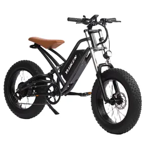 Fast Speed 48 Volts 1500 Watts Powerful Dirt Electric Bicycle E Bike For Adults