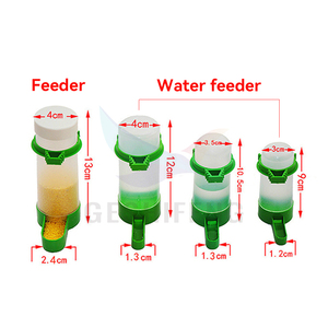 Alimentación y agua de doble uso PP pájaro paloma alimentador de alimentos <span class=keywords><strong>bebedero</strong></span> de agua para pájaros loro - Product Image 5
