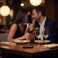 Lampe de table LED décorative sans fil à piles avec variateur tactile, design incurvé en S, idéale pour hôtels, chambres et restaurants