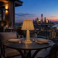 Lampe de table d'extérieur sans fil rechargeable à LED 3W, 50000 heures, charge rapide Type-C, tactile, intensité réglable, étanche IP44, en fer et rotin, pour hôtel