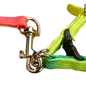 Colorful nylon material rope dog collar leash