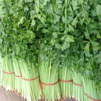 Autres équipements agricoles : Récolteuse de poireaux verts, d'ail chinois, coupe-céleri, machine à récolter les ciboulettes