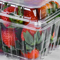 Boîte d'emballage transparente en plastique PET pour fruits frais, plateau d'emballage pour fraises, vente en gros Lesui