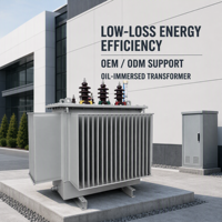 Transformateur de distribution triphasé immergé dans l'huile S11 pour usage agricole et parcs industriels, 20kVA, 25kVA, 30kVA, 6kV, 10kV